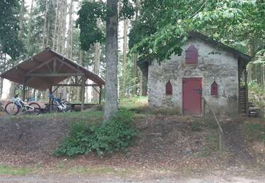 Trail Mountain bike Bertogne - 16 aout - Photo