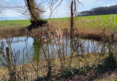 Tour Wandern Thuin - ragnies - Photo
