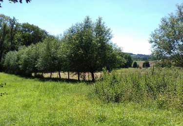 Tour Wandern Modave - Vierset Barse - Photo