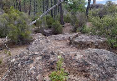 Randonnée Marche Roquebrune-sur-Argens - Sur la piste des trois communes - Photo