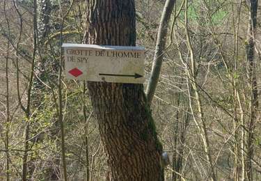 Excursión Senderismo Jemeppe-sur-Sambre -  SPY   par la grotte - Photo