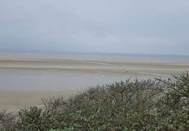 Tocht Stappen Neufchâtel-Hardelot - Hardelot  - Photo