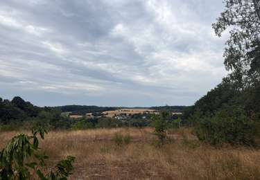 Tour Wandern Grez-Doiceau - Meerdeal sablière  - Photo