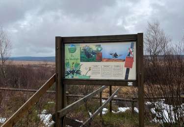 Excursión Senderismo Waimes - Giro delle Hautes Fagnes - Photo