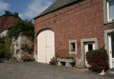 Trail Mountain bike Houyet - Sur les Plains - Photo