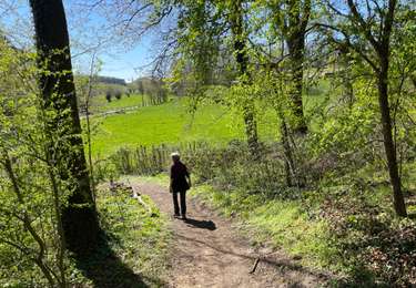 Randonnée Marche Lasne - Autour d’Ohain - Photo