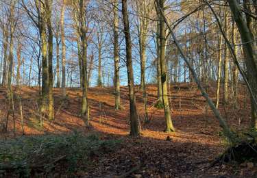 Tocht Stappen Bierbeek - Biebeek variante - Photo