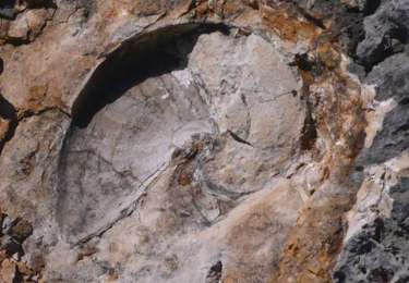 Randonnée Marche Rencurel - La vallée fossile des Rimets - Photo