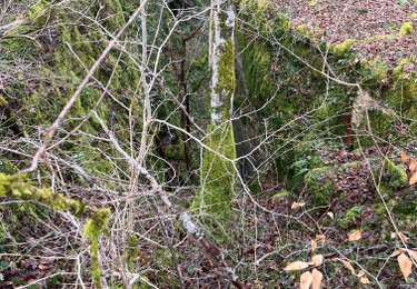 Tour Wandern Noidant-le-Rocheux - 52 NOIDANS LE ROCHEUX - Photo
