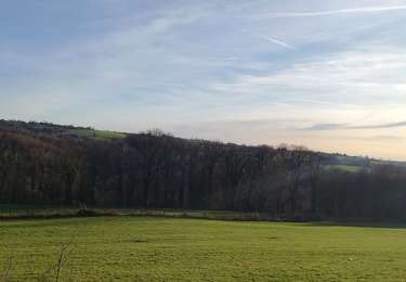 Tocht Stappen Chaudfontaine - 2024-01-28_15h11m02_2023-10-09_1343213358_Adeps 10km janvier 2024 - Photo