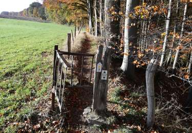 Randonnée Marche Blegny - Promenade du Bacsay - Photo