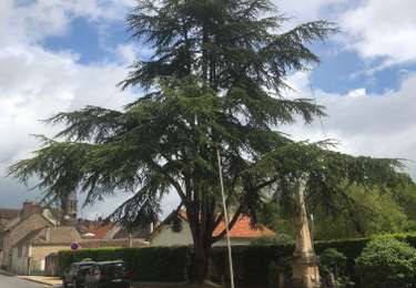 Randonnée Marche Dampierre-en-Yvelines - Aller retour dampierre  - Photo