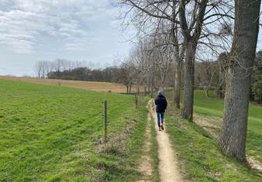 Tocht Stappen Huldenberg - Gulden erg - Photo