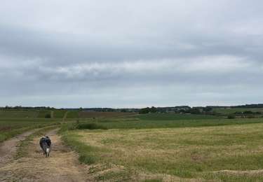 Randonnée Marche Paliseul - Fays-les-Veneurs Adeps 15km 2026 - Photo