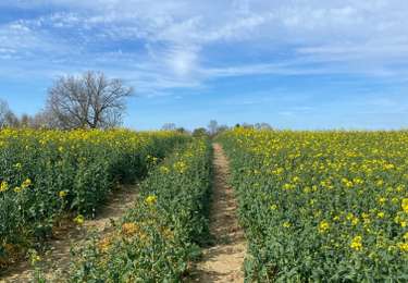 Randonnée Marche Ramillies - Bomal  - Photo