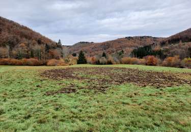 Randonnée Marche Ternuay-Melay-et-Saint-Hilaire - vosges 2025 2 - Photo