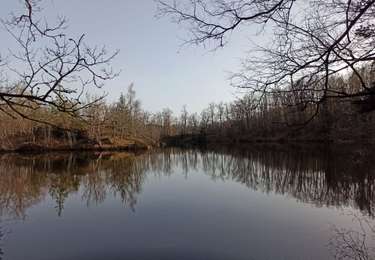 Randonnée Marche Faucogney-et-la-Mer - 08-03-26 : circuit du bois d'Arfin - Photo
