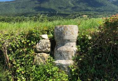 Tocht Stappen Viuz-la-Chiésaz - Circuit de Viuz La Chiesaz - Photo
