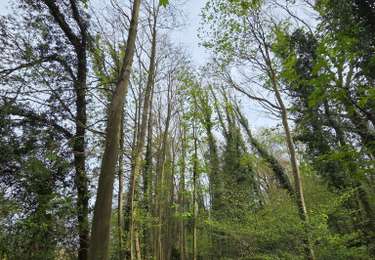 Tour Wandern Eijsden-Margraten - Gronsveld > Cadier en Keer  - Photo