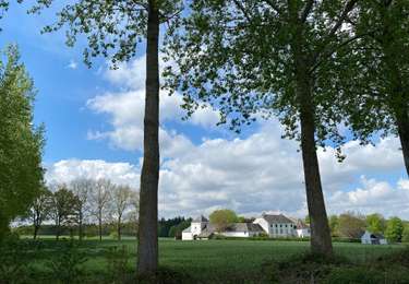Tocht Te voet Court-Saint-Étienne - Sart Messire Faux La Roche Faux - Photo