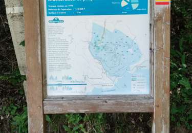 Percorso Marcia Savines-le-Lac - Rando Savines Pierre-Arnoux - Photo