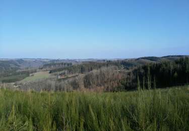 Tour Wandern La Roche-en-Ardenne - La Roche n 6 - Photo