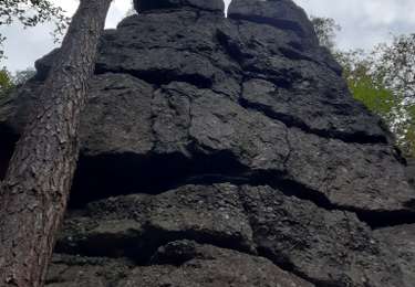 Tour Wandern Marchin - marchin - Photo