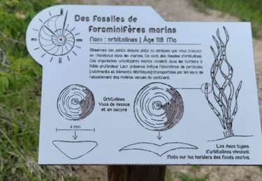Randonnée Marche Rencurel - Rencurel-La valle fossiles des Rimets - Photo