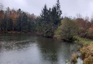 Randonnée Marche Ternuay-Melay-et-Saint-Hilaire - vosges 2025 p2 - Photo