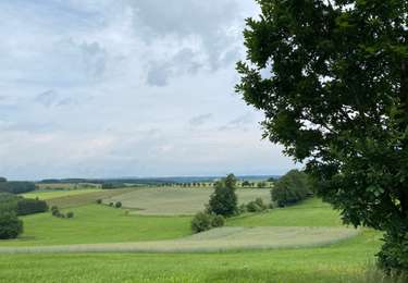 Tocht Stappen Sankt Vith - Alfersteg - Photo