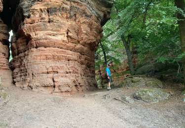 Excursión Senderismo Roppeviller - Colorado alsacien  - Photo