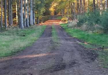 Excursión Senderismo Marche-en-Famenne - Grimbiemont 2h facile - Photo