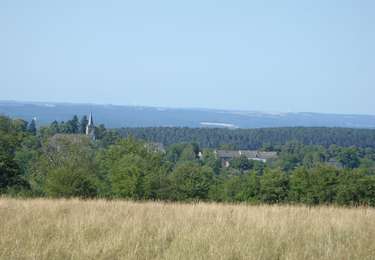 Excursión Senderismo Wellin - RB-Lu-25_Wellin - Photo