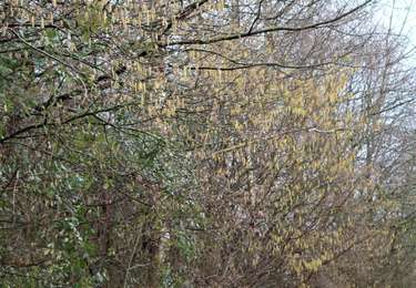 Tour Wandern Lüttich - Jupille Bois Sauvage Beyne Fayenbois  - Photo