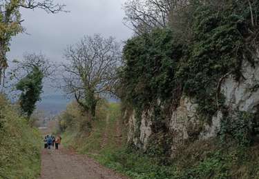 Tocht Stappen Joigny - Rando sur les hauteurs de Joigny  - Photo