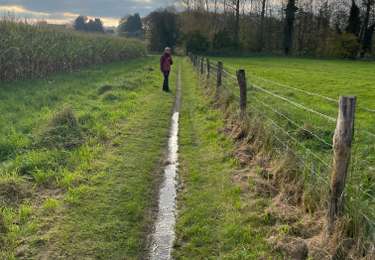 Tocht Stappen Bevekom - Hamme Mille - Photo