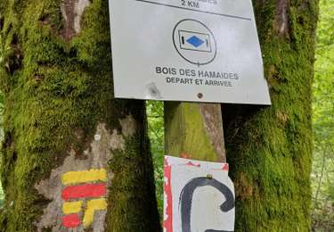 Randonnée Marche Froidchapelle - BruDrine/Froidchapelle #1 Martinsart - Photo