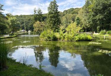 Tour Wandern Ottignies-Louvain-la-Neuve - Bois des rêves  - Photo