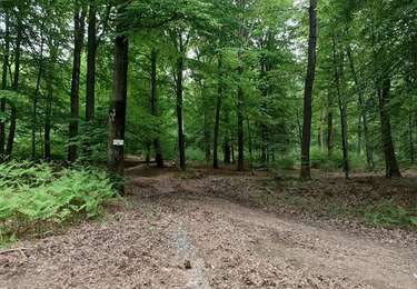 Randonnée V.T.C. Libramont-Chevigny - Parcours VTC50KM_LIBRAMONT - Photo