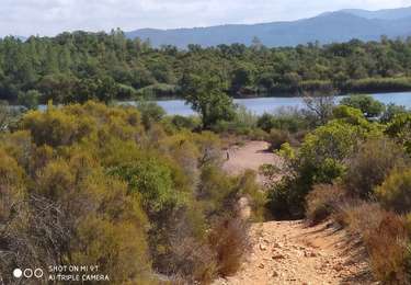 Tocht Stappen Le Cannet-des-Maures - lac des Escarcets - Photo
