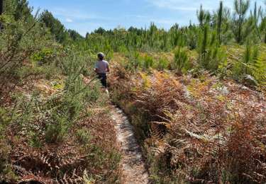Tocht Stappen Sanguinet - Sanguinet - Photo