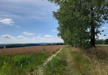 Tour Wandern Tinlot - Ramelot  - Photo
