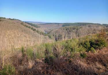 Excursión Senderismo Houffalize - Engreux - Confluent des deux Ourthes var. - Photo