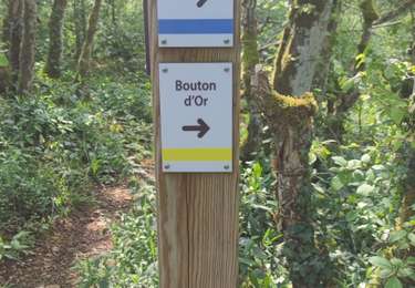 Percorso Marcia Étaules - Trail Les Balcons du Suzon - Photo