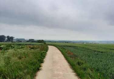 Tocht Paardrijden Walcourt - Mertenne/bois de la Baronne/Rognée - Photo