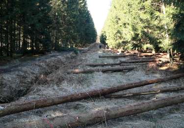 Tocht Stappen Aywaille - 220307 Ninglinspo - Photo