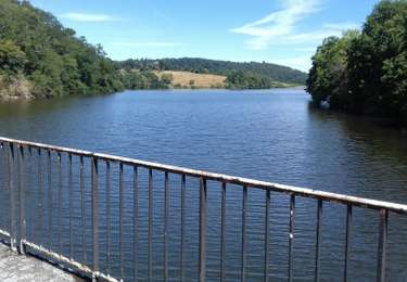 Trail Walking Saint-Martin-du-Puy - Montcrecon -lac de Crescent - Chalaux - 7/2020 - Photo