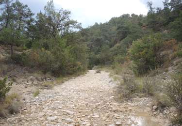 Excursión Senderismo Lurs - ganagobie - Photo