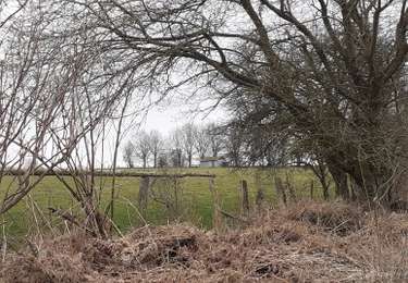 Randonnée A pied Libramont-Chevigny - Promenade à Remagne et ND de Lorette Non balisée - Photo