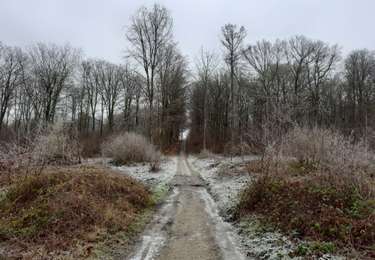 Tour Wandern Clavier - Pailhe - Photo